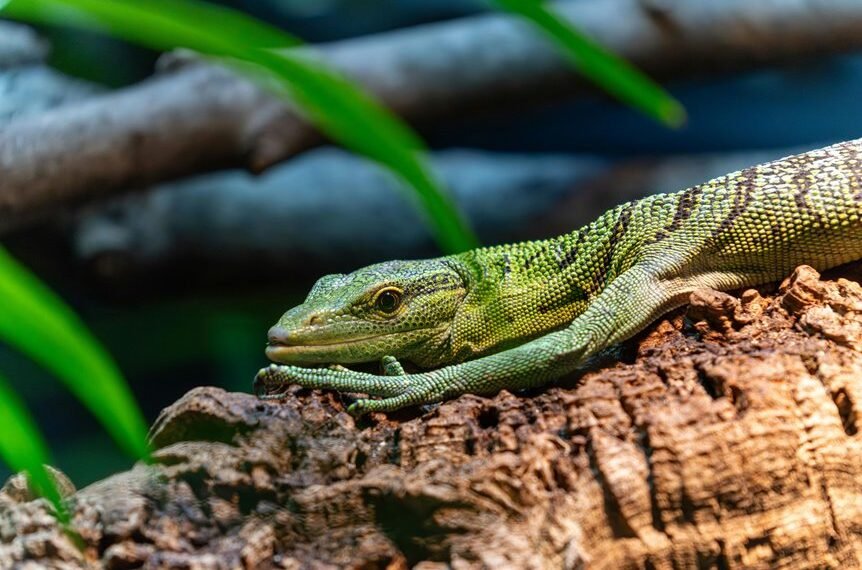 data pattern analysis report