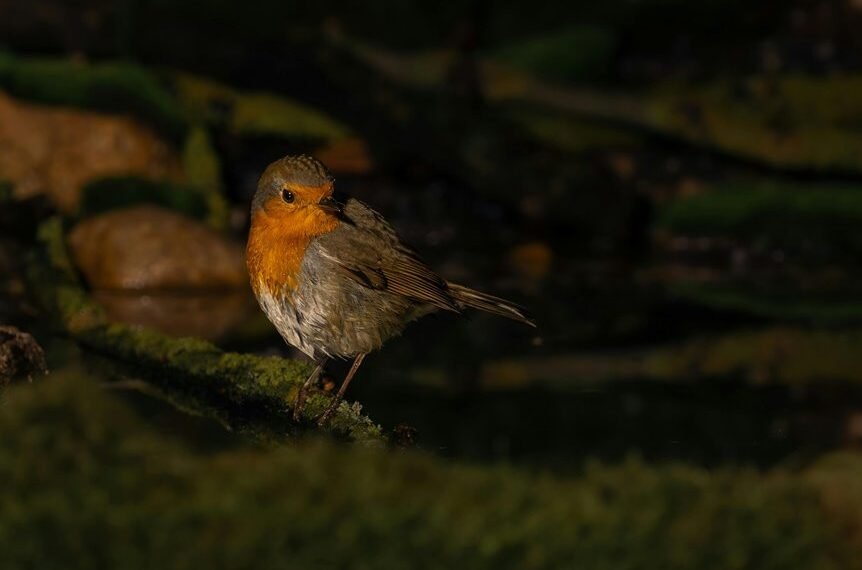 signal consistency log details